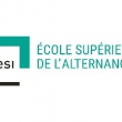 logo CESI Alternance