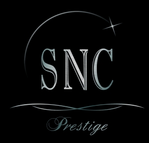 Centre d'Affaires Elysées Groupe SNC PRESTIGE