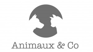 Animaux & Co