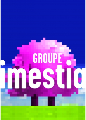 Groupe Imestia