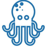 Octopus IT 