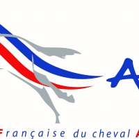 ASSOCIATION FRANCAISE DU CHEVAL ARABE DE COURSE