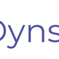 logo DYNSEO