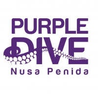 Purple Dive Penida